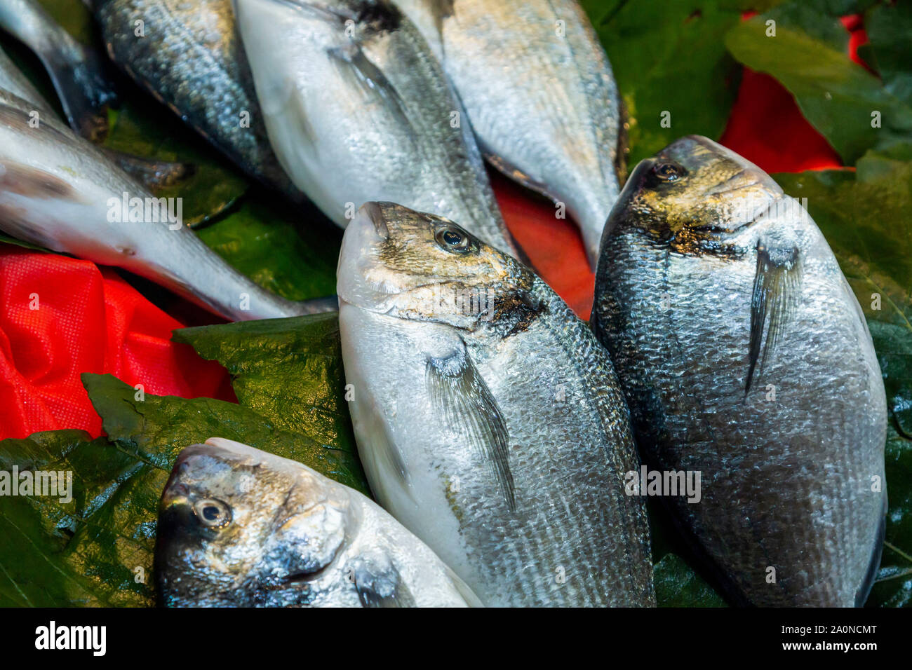 Fischmarkt in Istanbul, Türkei Stockfoto