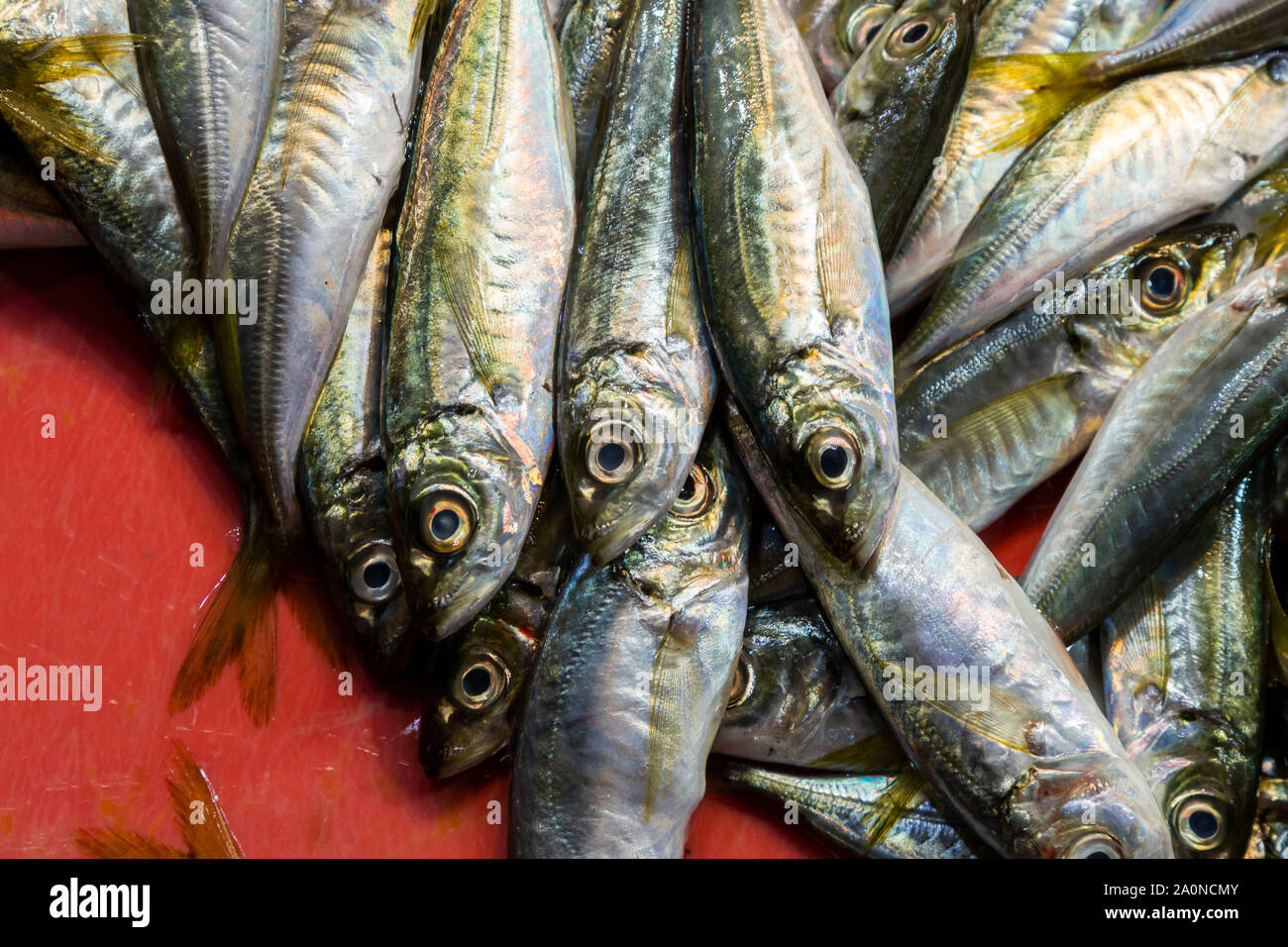Fischmarkt in Istanbul, Türkei Stockfoto