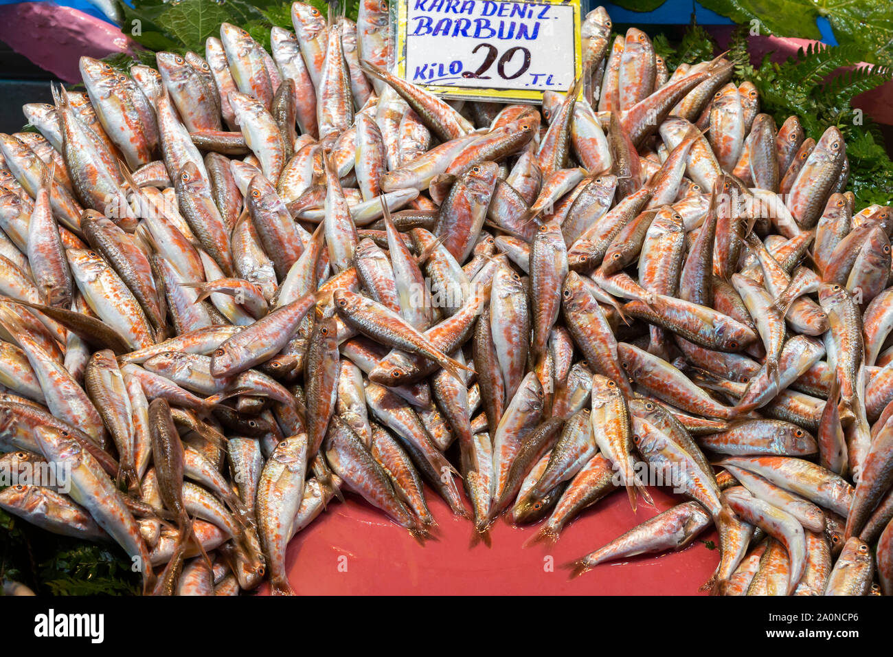 Fischmarkt in Istanbul, Türkei Stockfoto