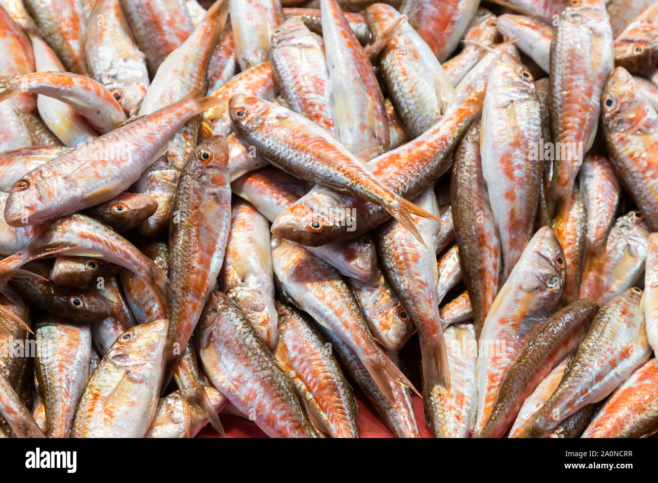 Fischmarkt in Istanbul, Türkei Stockfoto