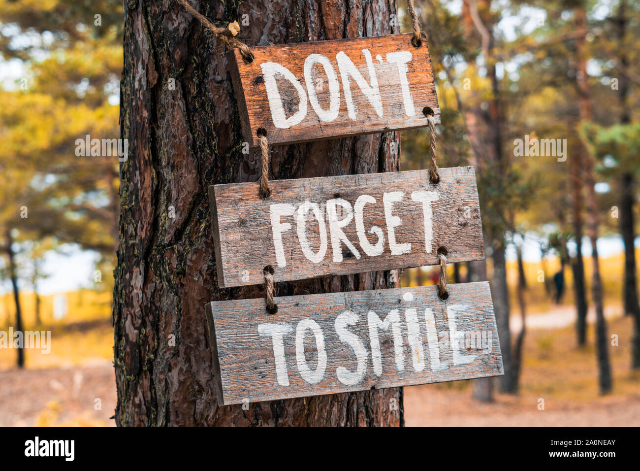 Eine hölzerne motivierender Tablet auf einer alten Kiefer in einem Herbst Park sagt 'Don't zu lächeln vergessen.' kann als eine Abbildung oder ein Marketing Konzept verwendet werden. Un Stockfoto