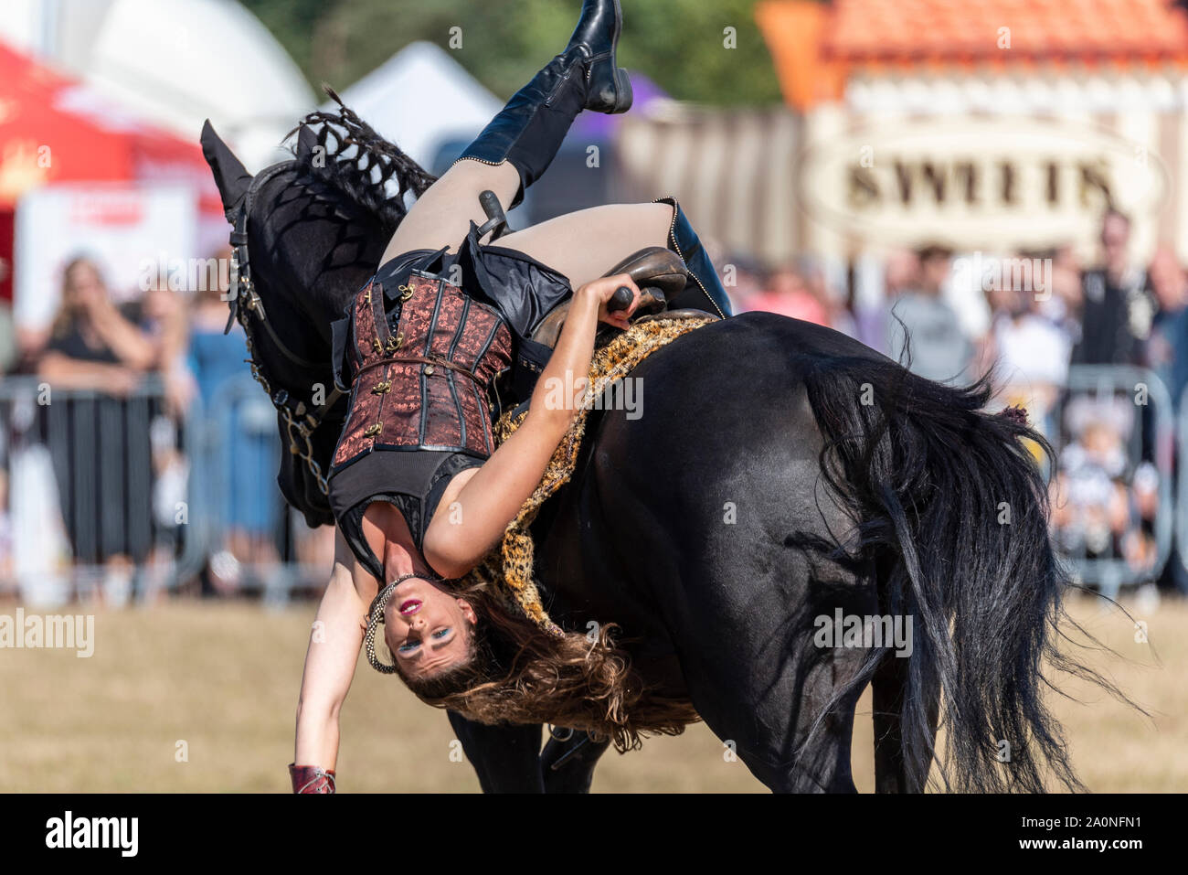 Gladiator horse Stunt Show vom Equestrienne Stunt Shows. Weibliche Reiter hing kopfüber vom Pferd Stockfoto