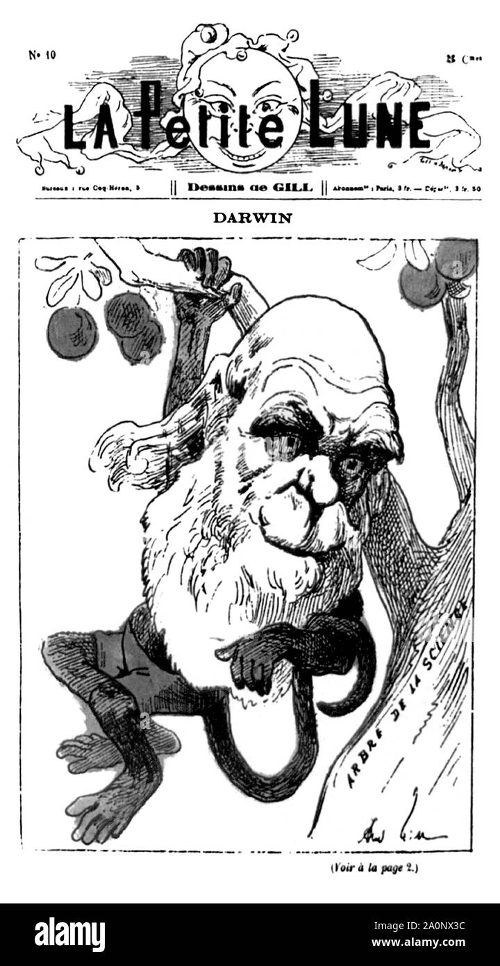 Englische Naturforscher Charles Darwin karikiert wie ein Affe auf dem Cover der Ausgabe 1878 der französische satirische Publikation "La Petite Lune" ("Der kleine Mond"). Darwin, dessen berühmte Werke auf evolutionäre Theorie" Über die Entstehung der Arten" 1859 und "Die Abstammung des Menschen" 1871, dargestellt an einem Zweig der "Arbre de la science" ("Baum der Wissenschaft"). Stockfoto