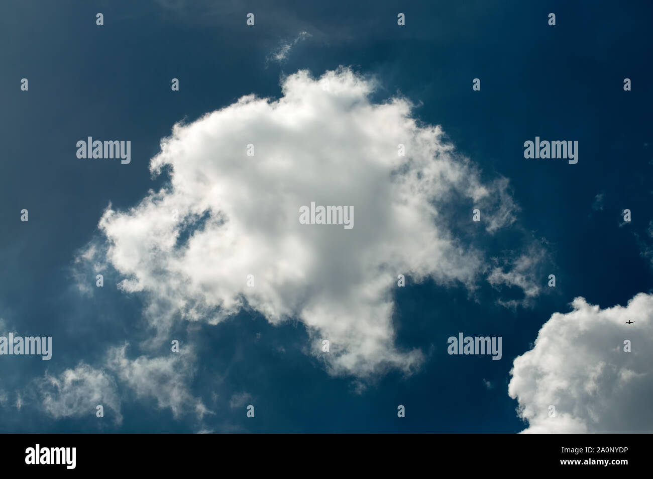 Geschwollene Weiße Wolke am blauen Himmel Hintergrund Stockfoto