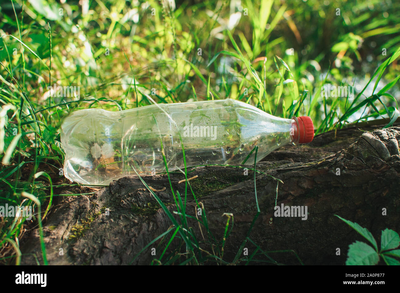 Plastikflasche im Wald in der Nähe des Teiches. Umweltverschmutzung. Umweltschutzes und Katastrophe. Go Green, Null Abfall, speichern Sie den Planeten Erde Da Stockfoto