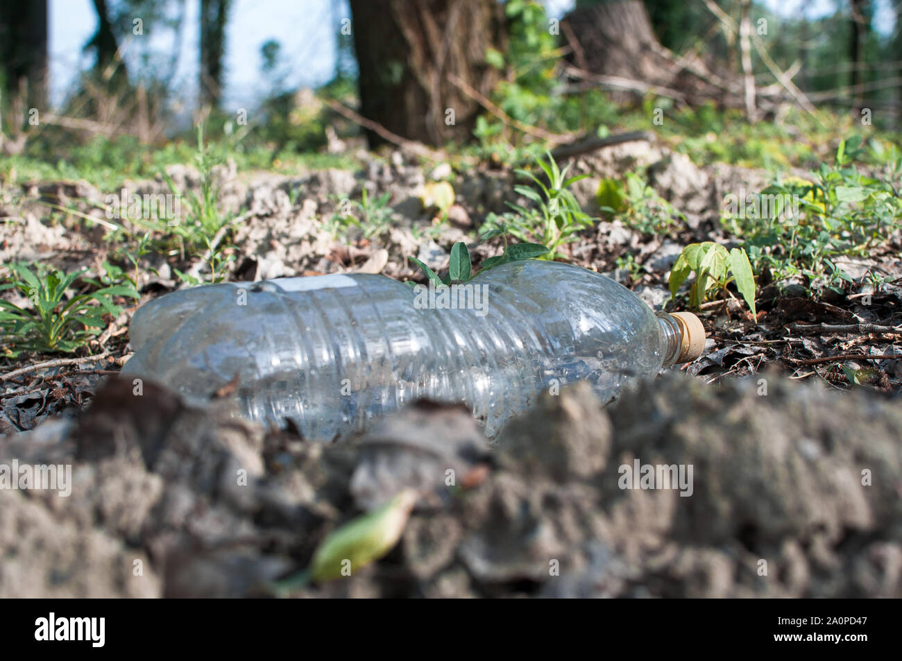 Plastikflasche im Wald in der Nähe des Teiches. Umweltverschmutzung. Umweltschutzes und Katastrophe. Go Green, Null Abfall, speichern Sie den Planeten Erde Da Stockfoto