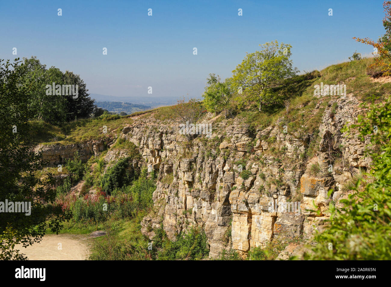 Die Felswand von der verlassenen Cotswold Steinbruch auf Leckhampton Hill Cheltenham Gloucestershire UK Stockfoto