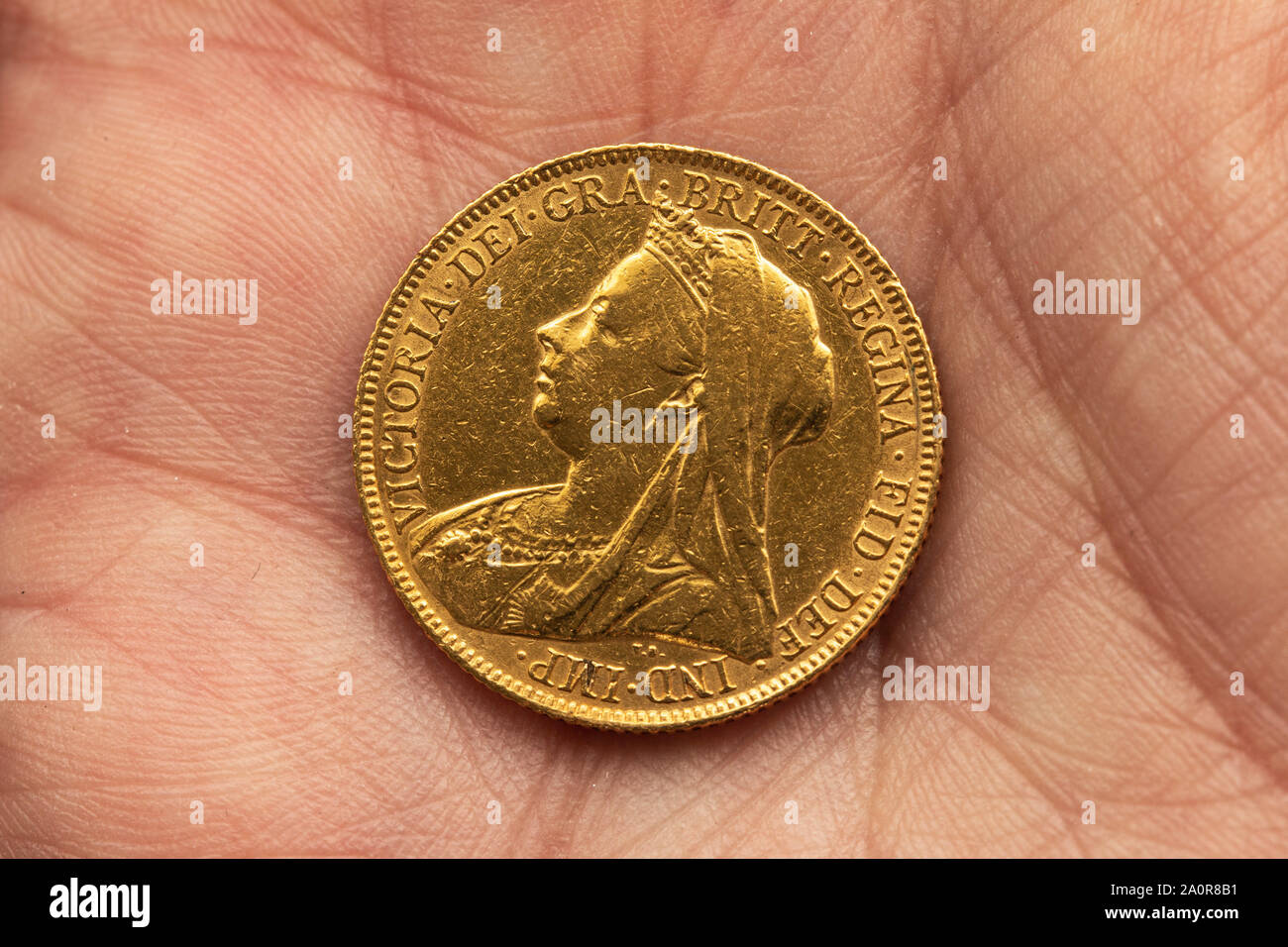 Nahaufnahme der Ein 1900 Victorian Gold Sovereign auf der Handfläche someones Hand Stockfoto