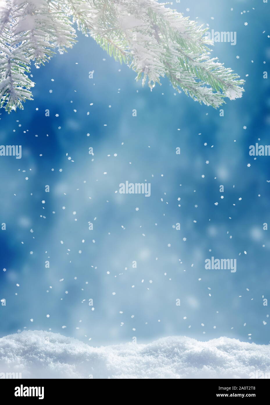 Schöne verschneite Winterlandschaft mit einem verschneiten Tannen Zweig, Schneeflocken und blauer Himmel. Winter Weihnachten Hintergrund. Winter Konzept. Stockfoto