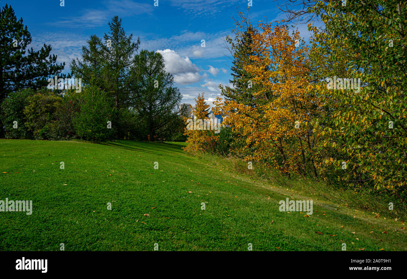 Anfang Herbst in städtischen Park. Stockfoto