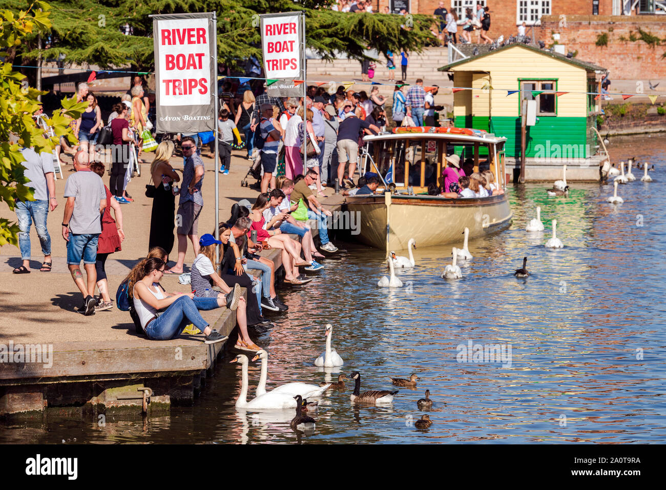 Stratford-upon-Avon, England, UK. Die Menschen am Ufer des Flusses beobachten Schwäne und Touristen die Bootsfahrten an einem Sommertag. Stockfoto