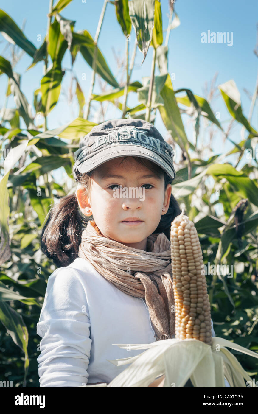 Bauernhof Mädchen stehen im Maisfeld. Herbst Ernte Konzept Stockfoto