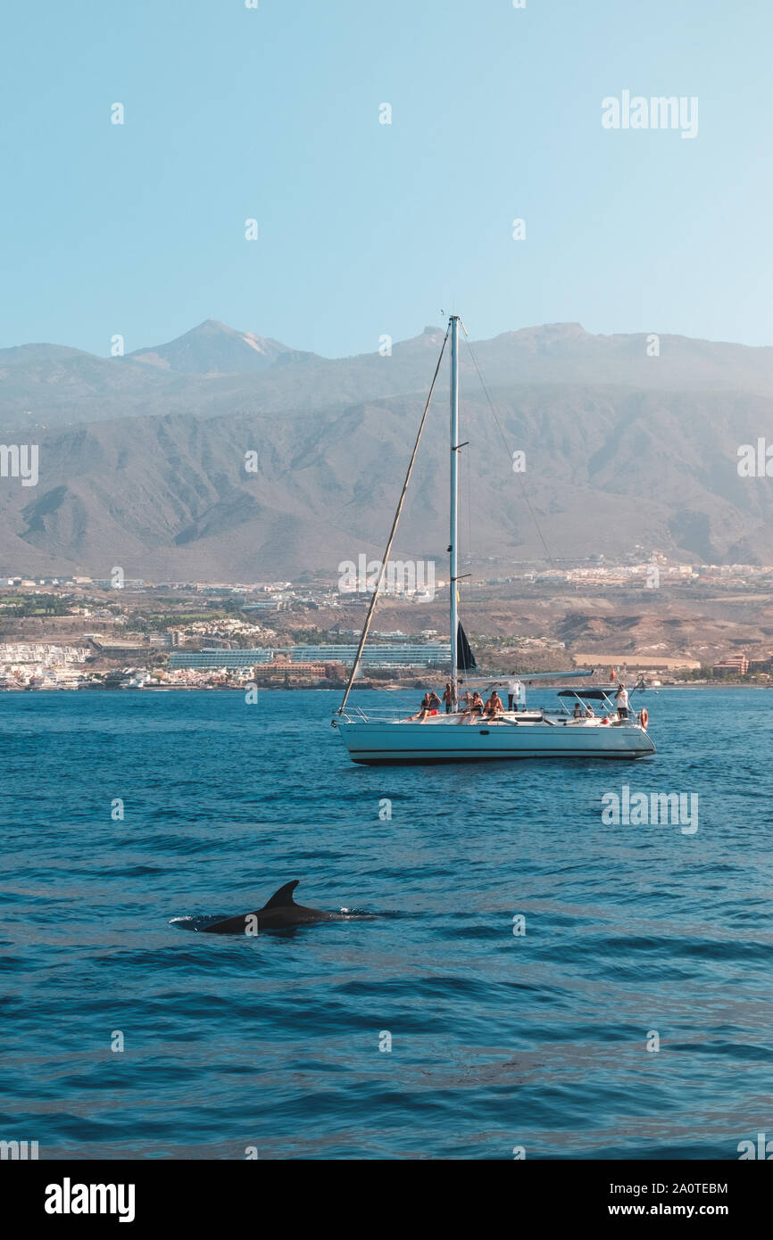 Menschen auf Segelboot auf der Suche nach Delphin auf Whale Watching Tour - Stockfoto