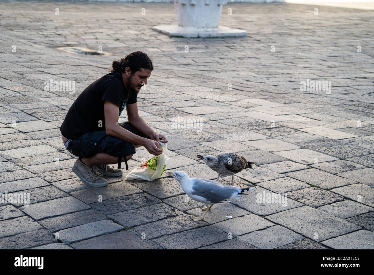 Man füttern Möwen in einer Piazza, Venedig, Italien Stockfoto