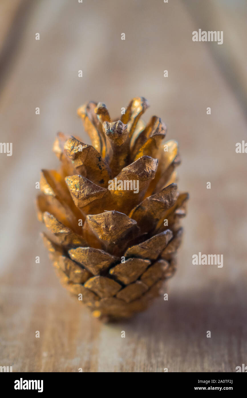 Goldene Ritzel Baum auf Holz- Oberfläche Stockfoto