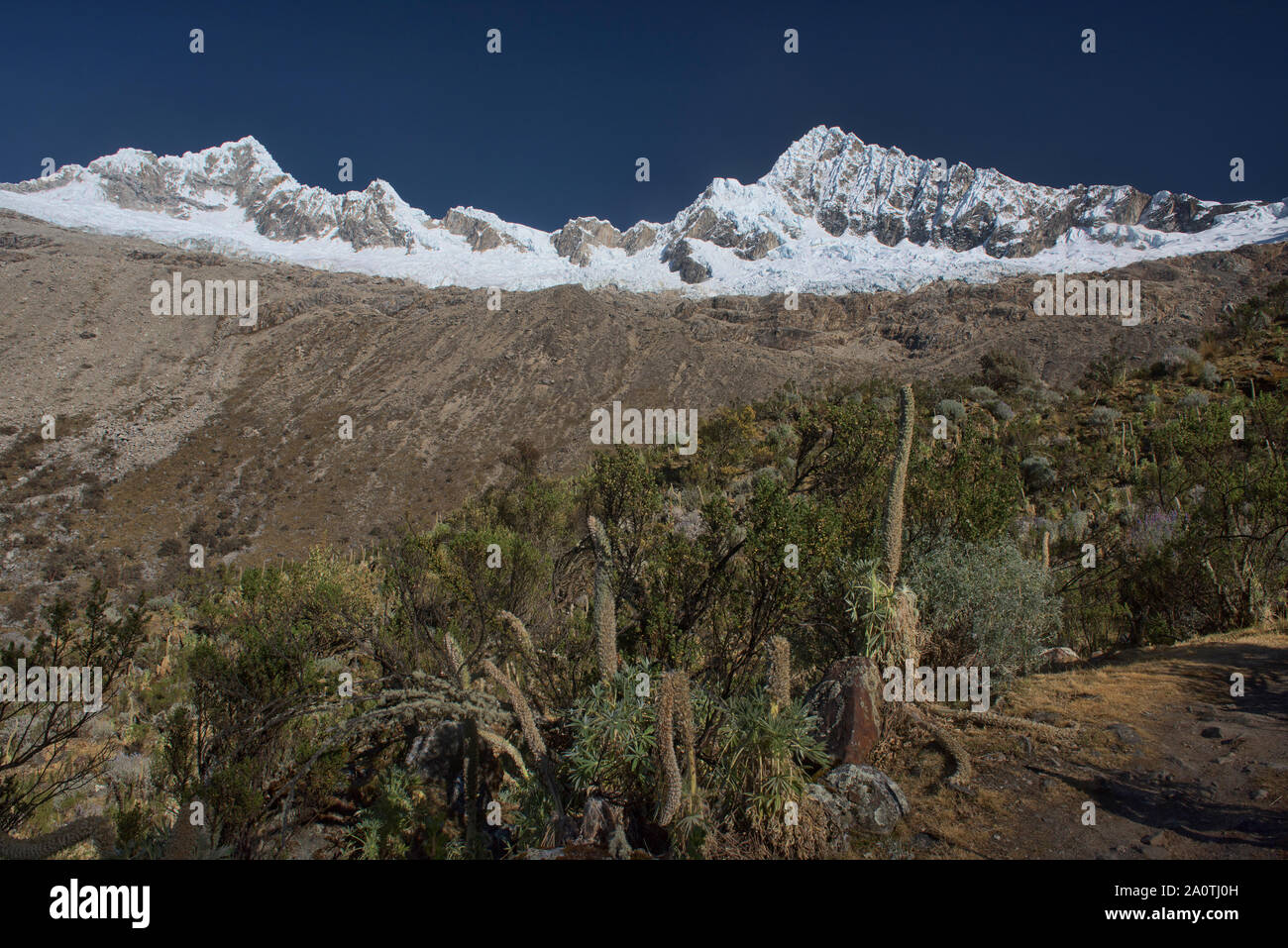 Alpamayo und Quitaraju steigen über Basecamp, Cordillera Blanca, Ancash, Peru Stockfoto