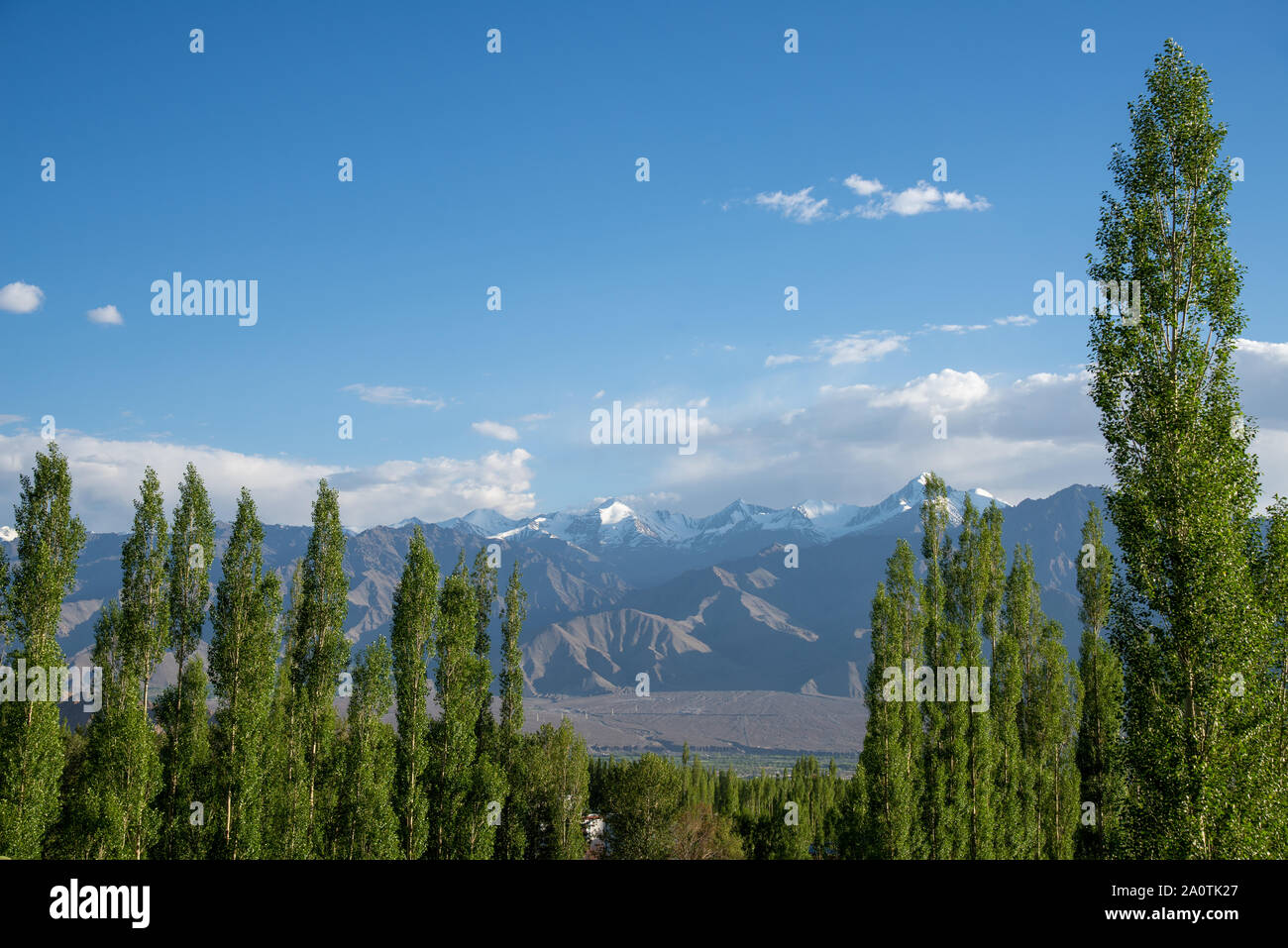 Landschaft in der Nähe von Leh, Ladakh, Indien Stockfoto