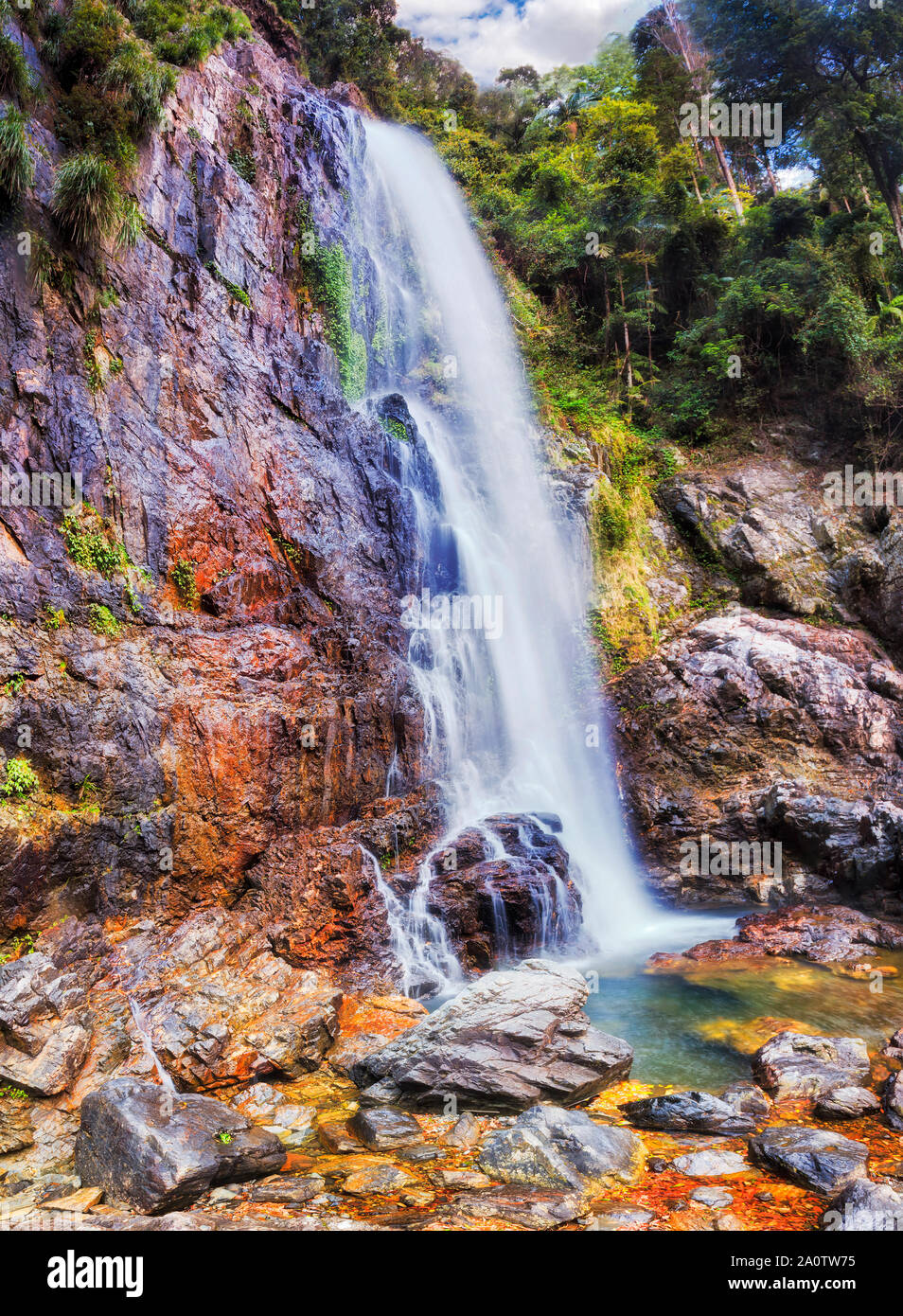 Mächtige verschwommen Zeder Wasserfall in Nie nie Teil der Dorrigo Nationalpark - Teil des antiken Gondwana Regenwälder, Australien, NSW. Stockfoto