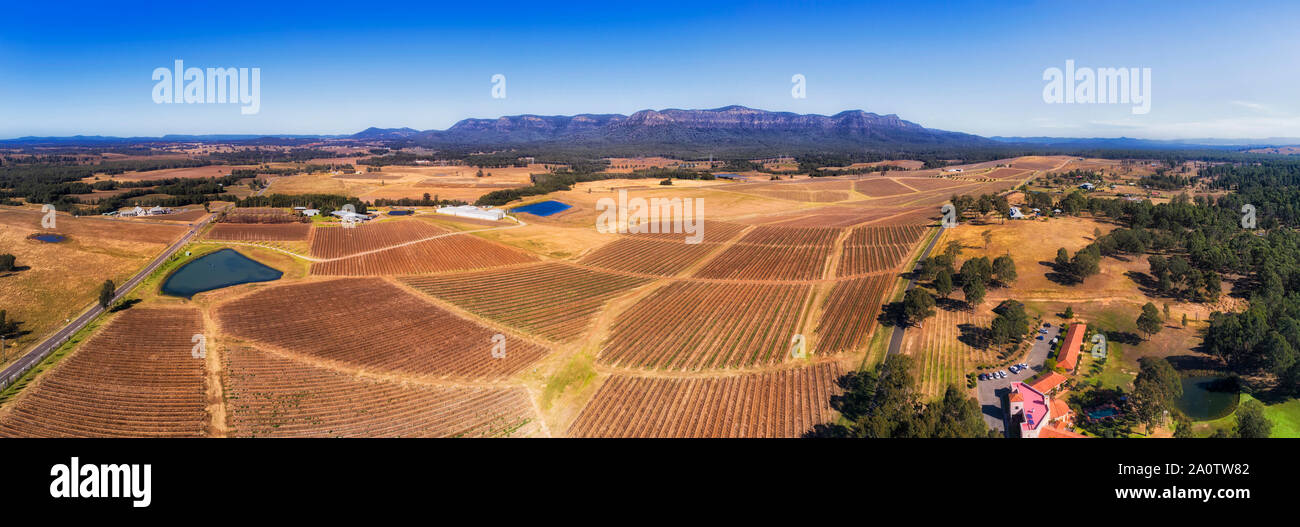 Patches von gepflegten Weinbergen in Hunter Valley Weinregion von NSW, Australien, im erhöhten Antenne Panorama über Keller Fincas auf dem Weg zu fernen Stockfoto