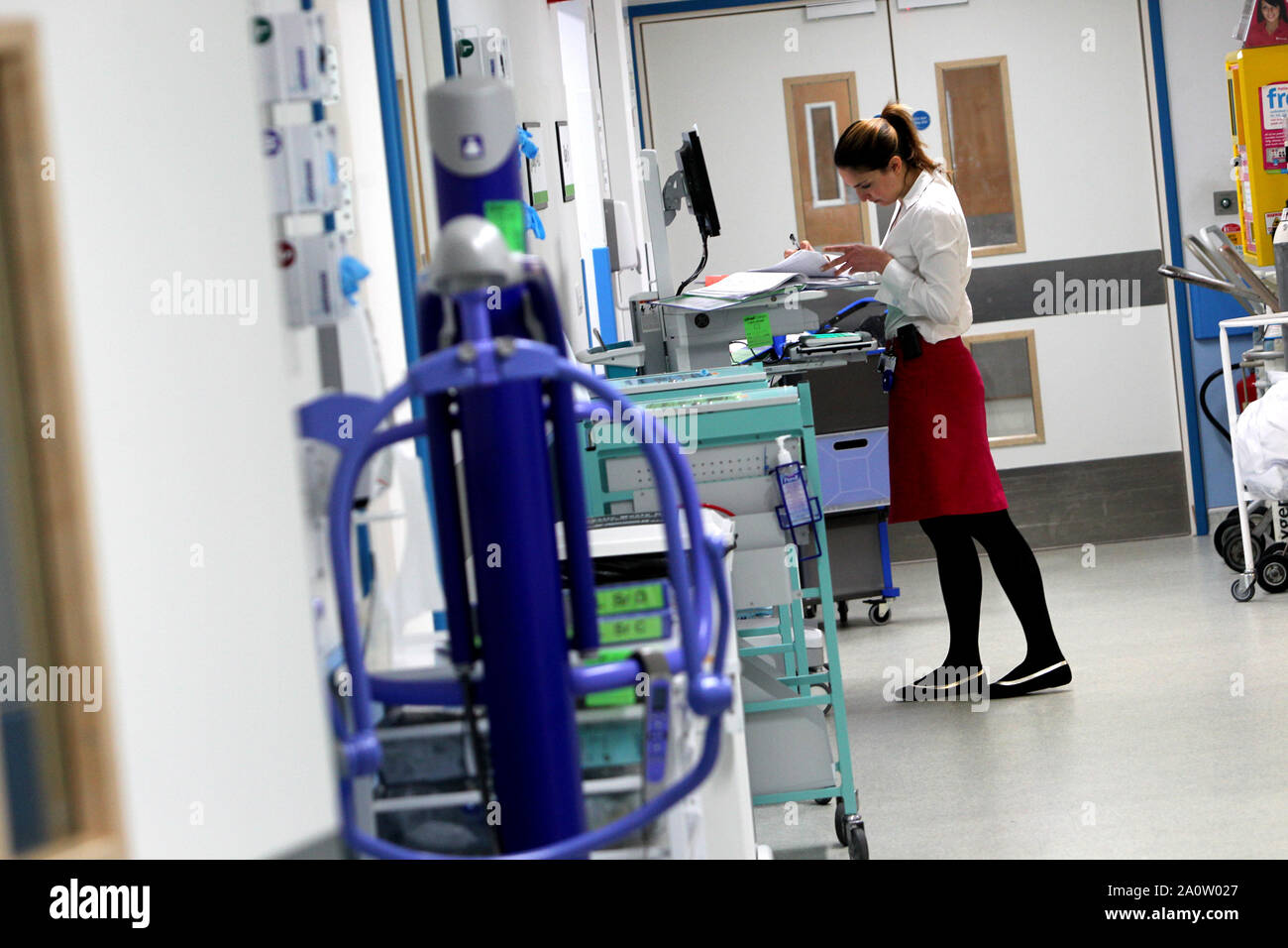 Allgemeine Ansichten von Krankenhauspersonal über ihre Arbeit im Royal Sussex County Hospital in Brighton, East Sussex, UK. Stockfoto