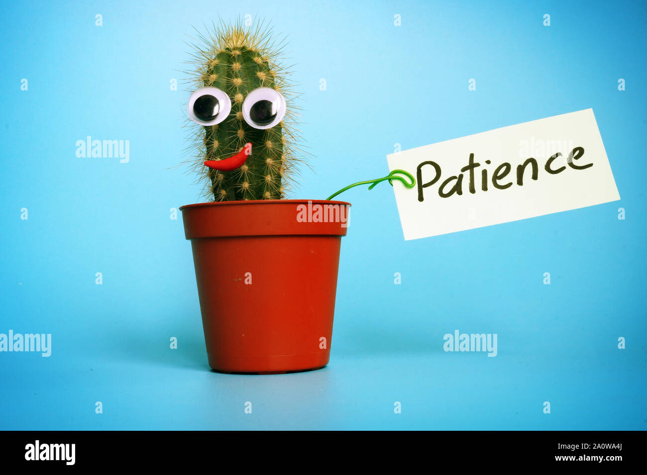 Kleine Kaktus ist Holding unterzeichnen Geduld. Stockfoto