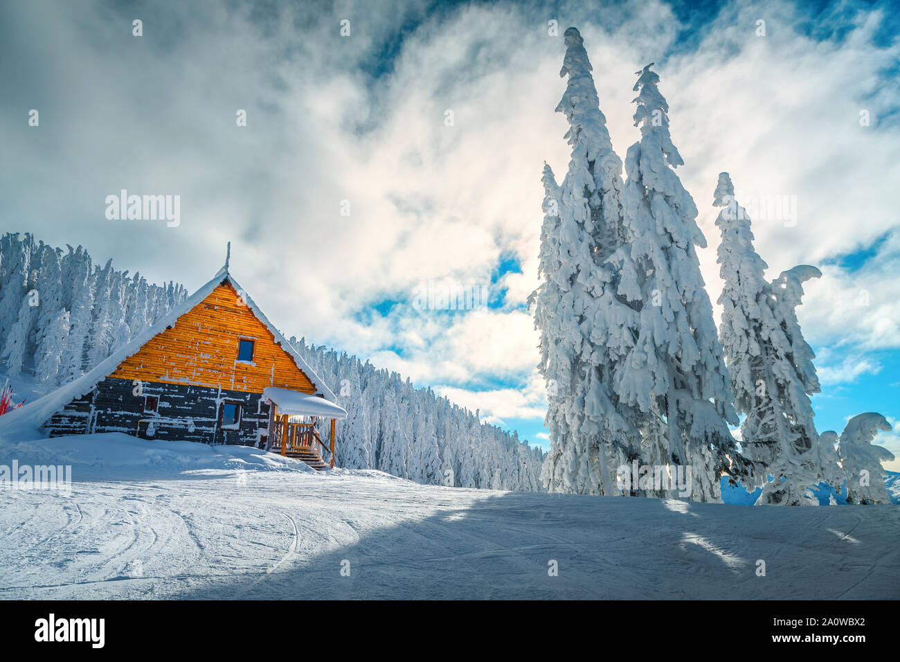 Die besten berühmten Winter Skigebiet in Rumänien. Atemberaubende touristischen und Winterurlaub. Snowy Pinien nach Blizzard in Poiana Brasov Ski Resor Stockfoto
