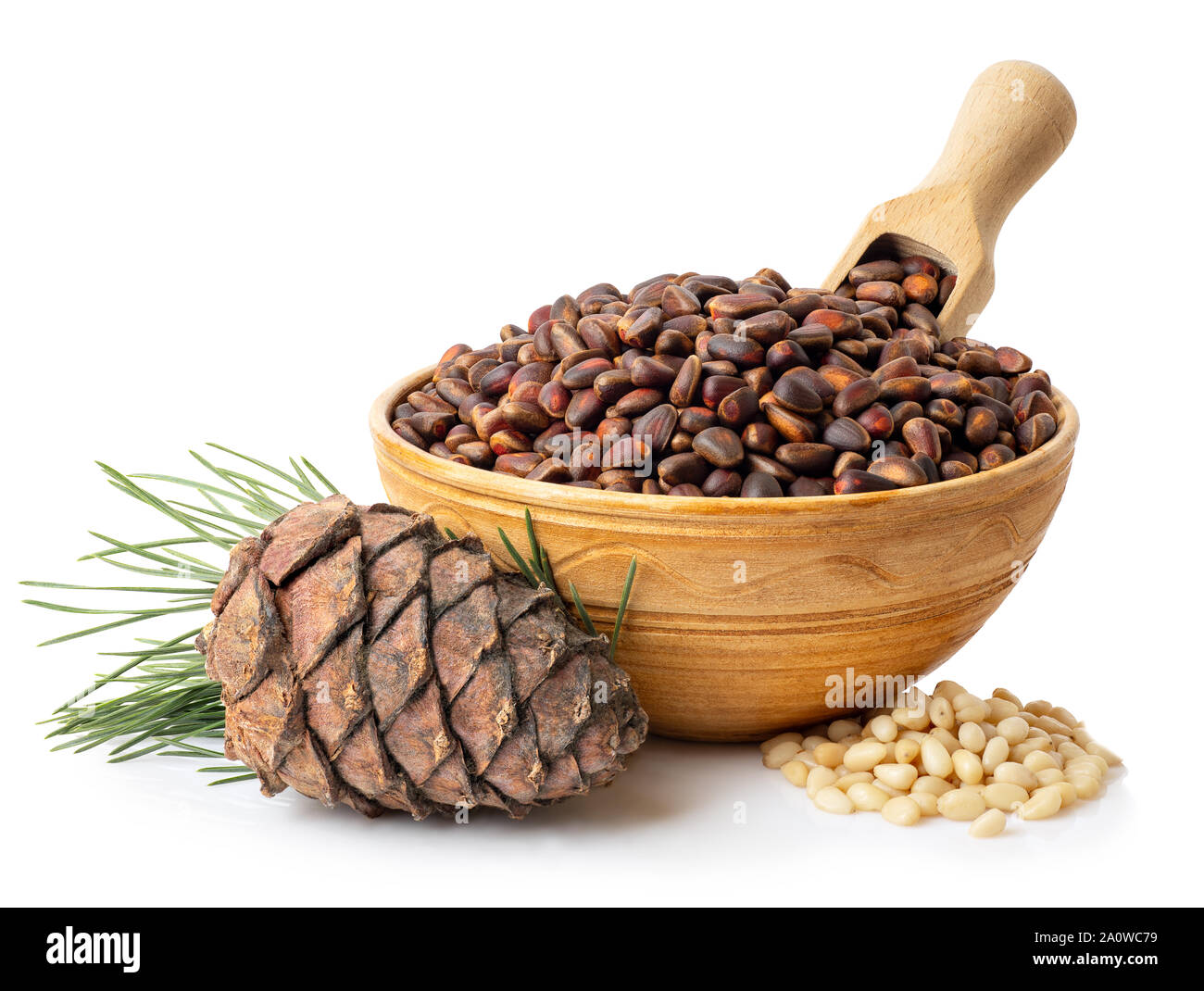 Ungeschälte zeder Muttern in die Schüssel und Zweig mit Pine Cone auf weißem Hintergrund Stockfoto