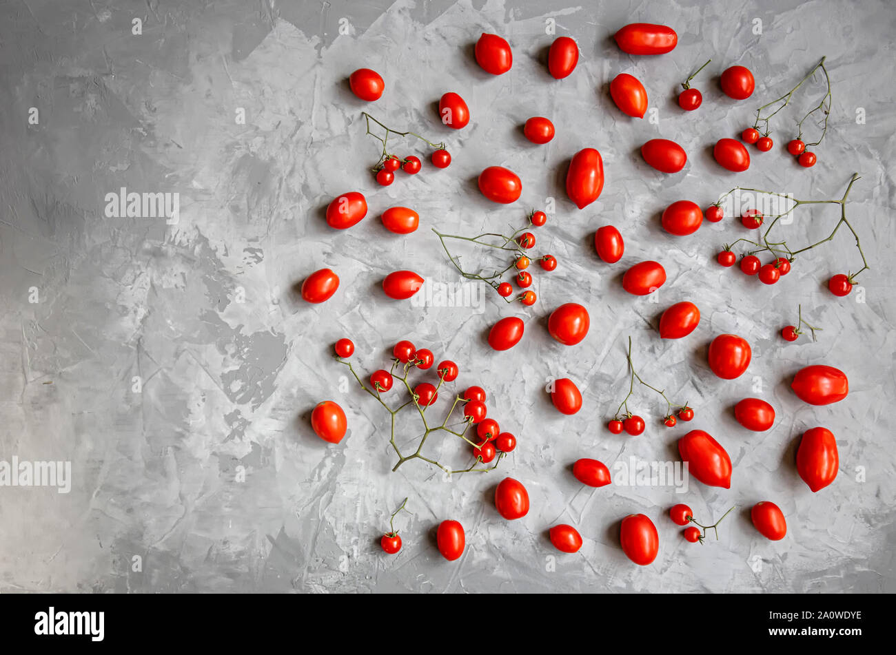 Rote reife Tomaten von verschiedenen Sorten und Größen auf grauem Hintergrund. Minimalismus. Stockfoto
