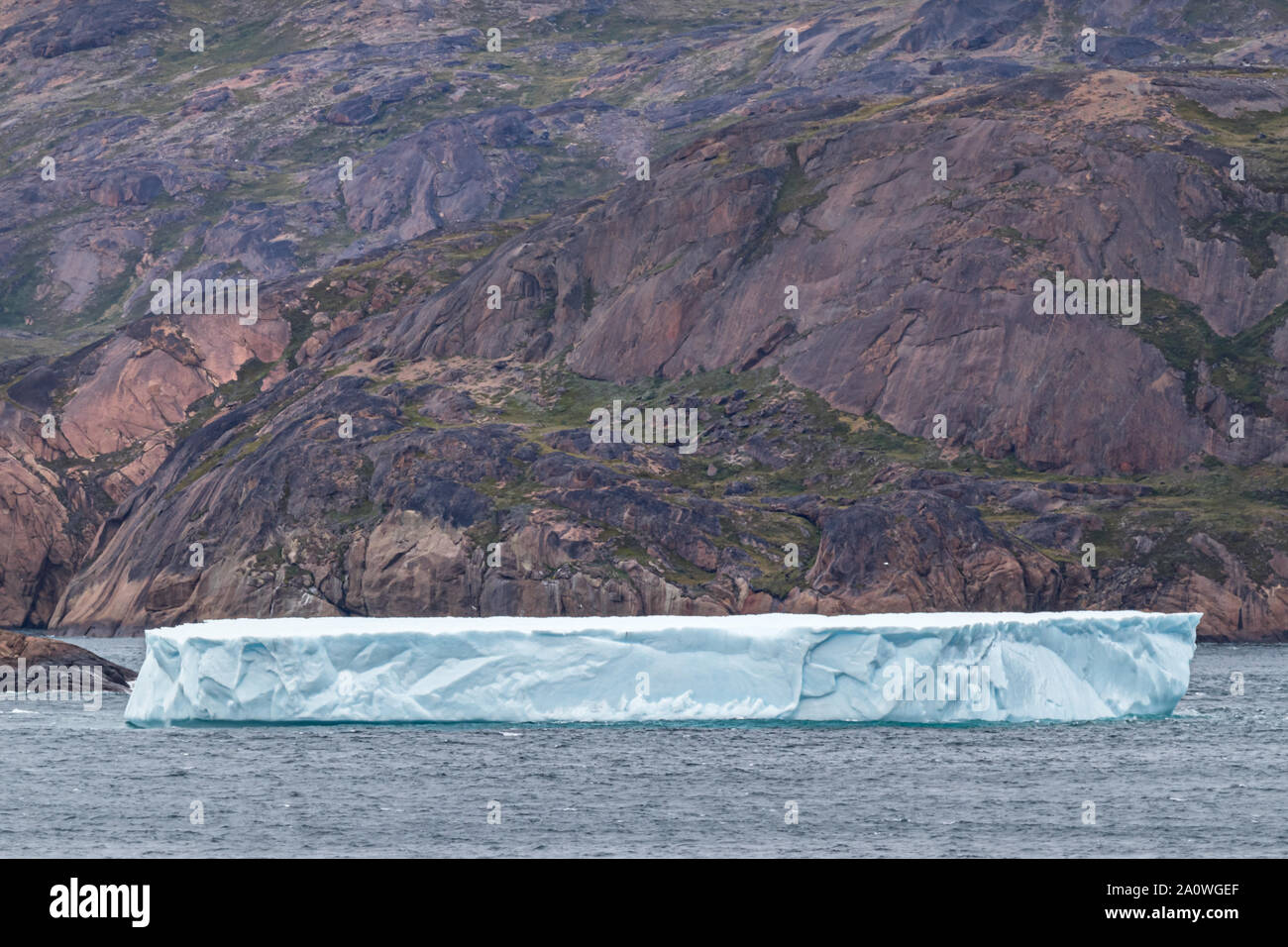 Eisberg am Skjoldungen Fjord, eine Insel an der Küste in der südöstlichen Küste von Grönland. Stockfoto