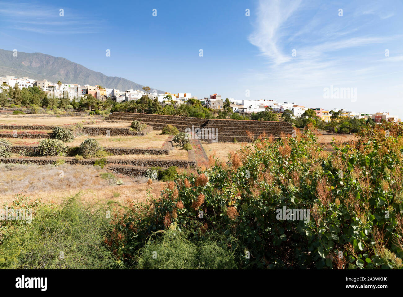 Blick von der Aussichtsplattform in der ethnografischen Park' Pyramiden von Güimar', Teneriffa Stockfoto