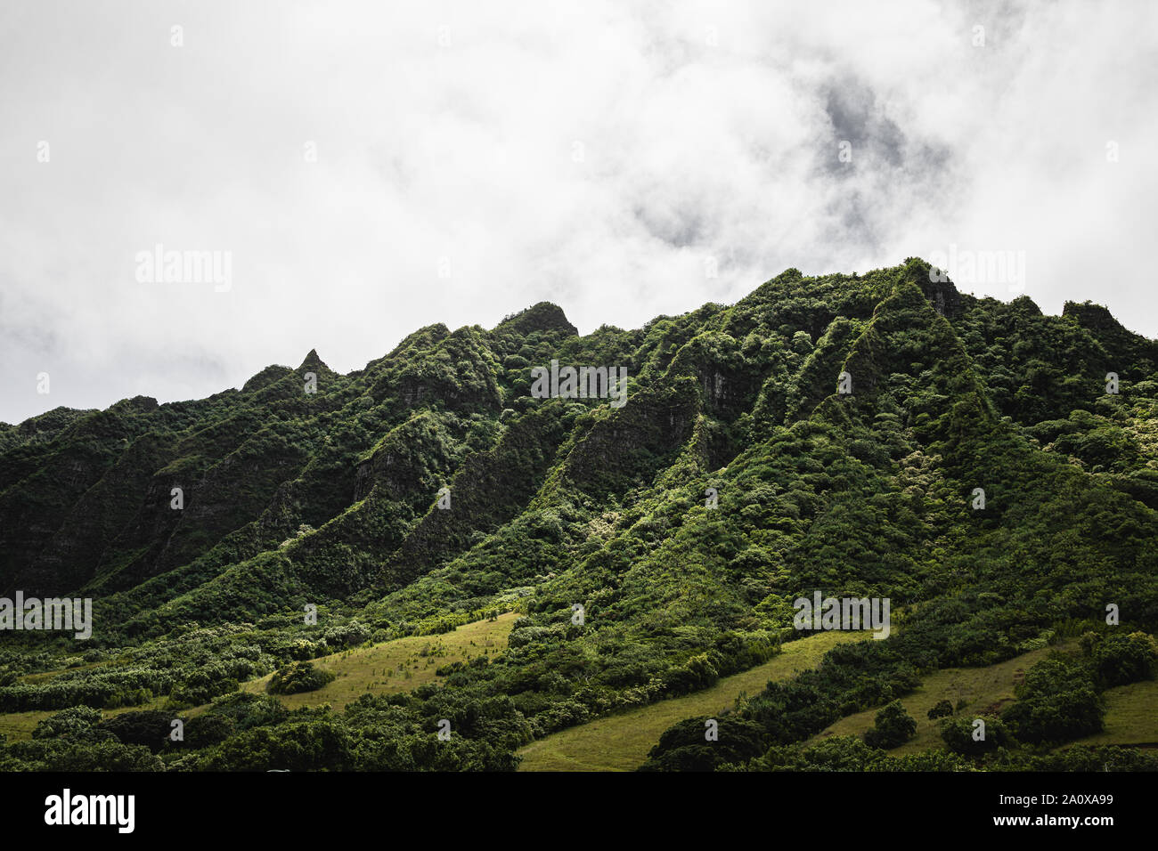 Blick auf die Berge bei Kualoa Ranch, Oahu Hawaii. Stockfoto