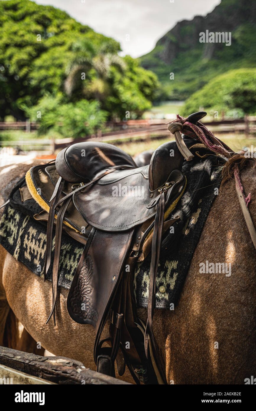 Oahu, Hawaii - 23. August 2019: Detailschuss von schönen Pferden Sattel auf einer Ranch auf der Kualoa Ranch, Oahu Hawaii. Stockfoto