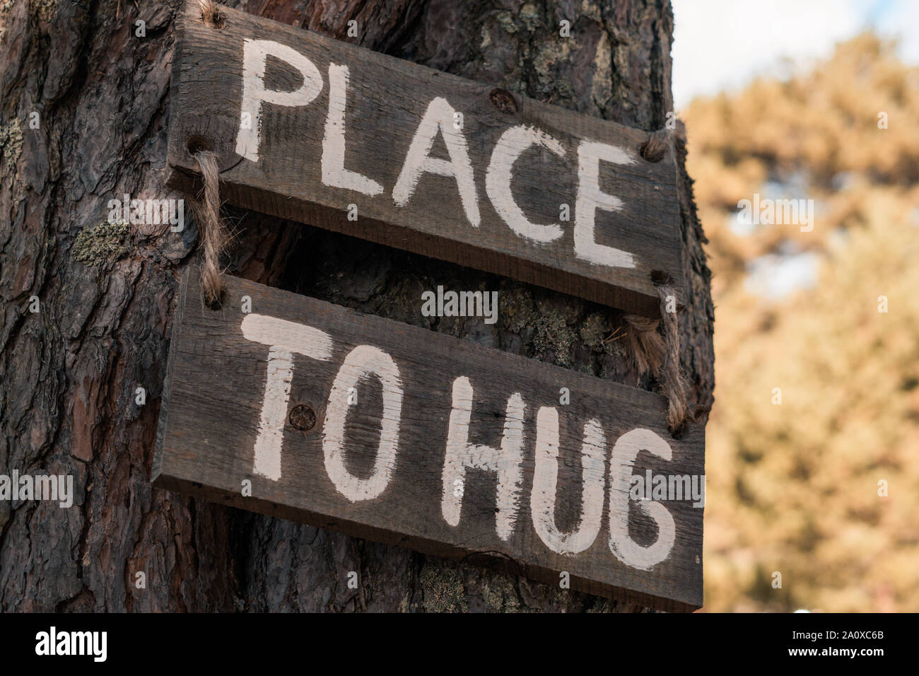 Eine hölzerne motivierender Tablet auf einer alten Kiefer in einem Herbst Park sagt "Platz zu umarmen". Kann als eine Abbildung oder ein Marketing Konzept verwendet werden. Einheit mit Stockfoto