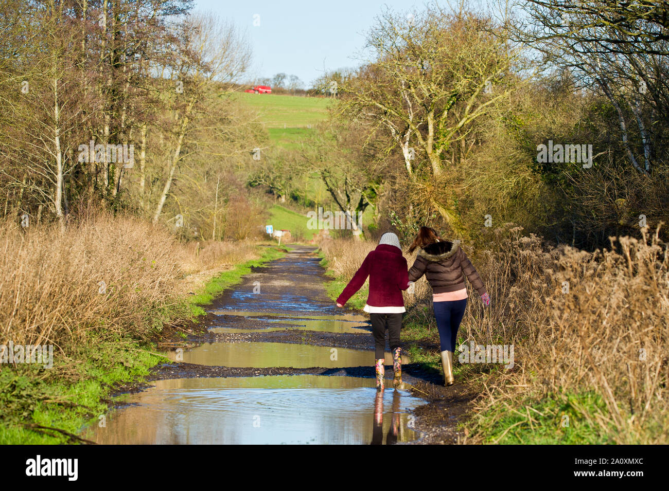 Frau und Mädchen zu Fuß in den Wäldern in der nähe von Wedmore, Somerset, England Stockfoto