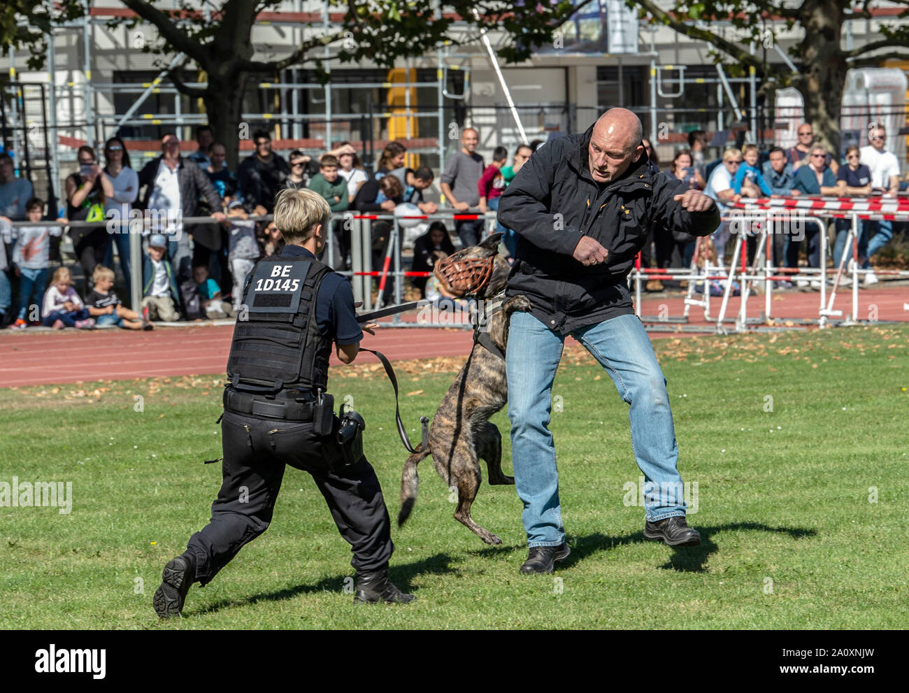 Berlin, Deutschland. 22 Sep, 2019. Ein Hund Der Hund squadron der Polizei zeigt seine Fähigkeiten am Tag der offenen Tür der Berliner Polizei. Credit: Paul Zinken/dpa/Alamy leben Nachrichten Stockfoto