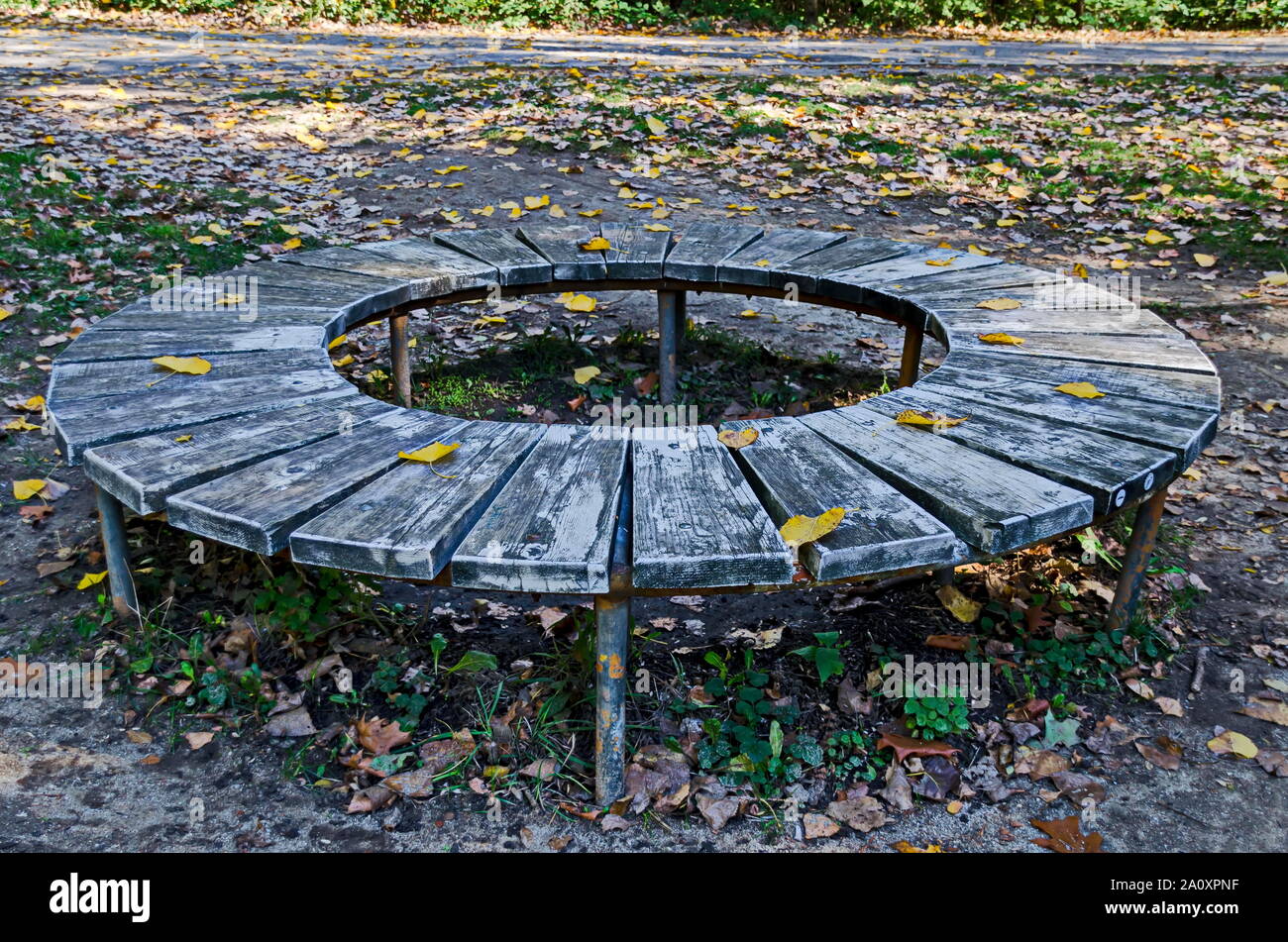 Interessante runde Holzbank in der Nähe der Gasse in die natürliche South Park, Sofia, Bulgarien Stockfoto