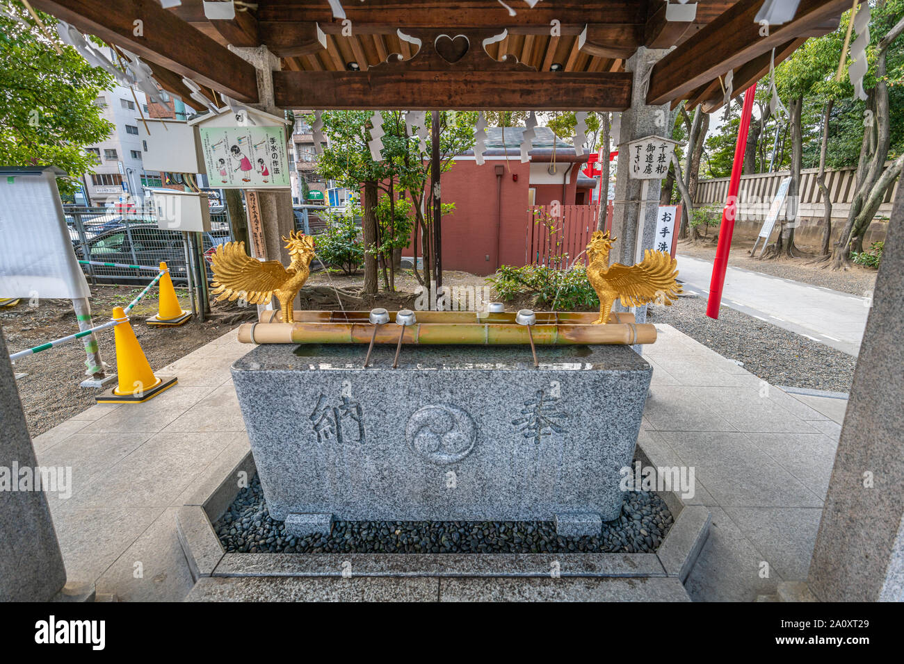 Tokyo, Japan - 15. März 2019: Goldene Hinotori an Temizusha wasser Waschung Pavillon von tomioka Hachiman-gu Shinto Schrein. Das größte Heiligtum gewidmet Stockfoto