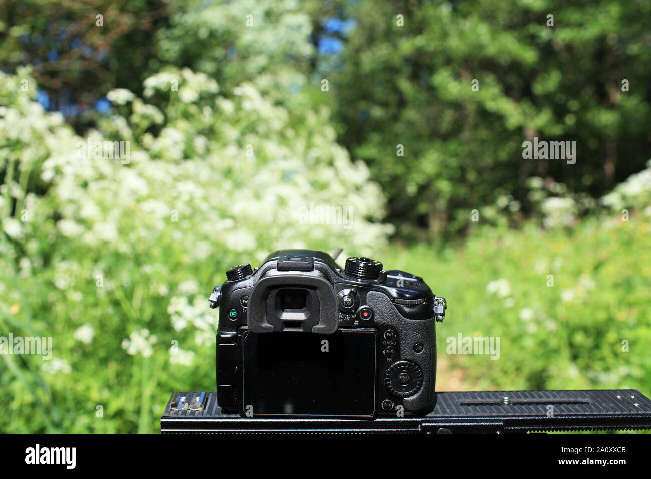 Foto shooting in der Natur Digitalkamera im Vordergrund. Stockfoto