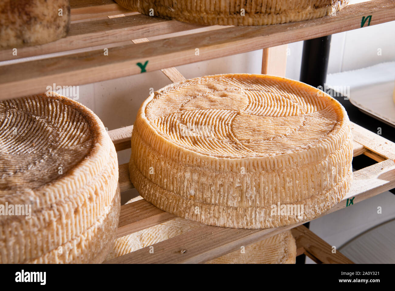 Formen der Käse auf dem Regal für die Reifung Stockfoto