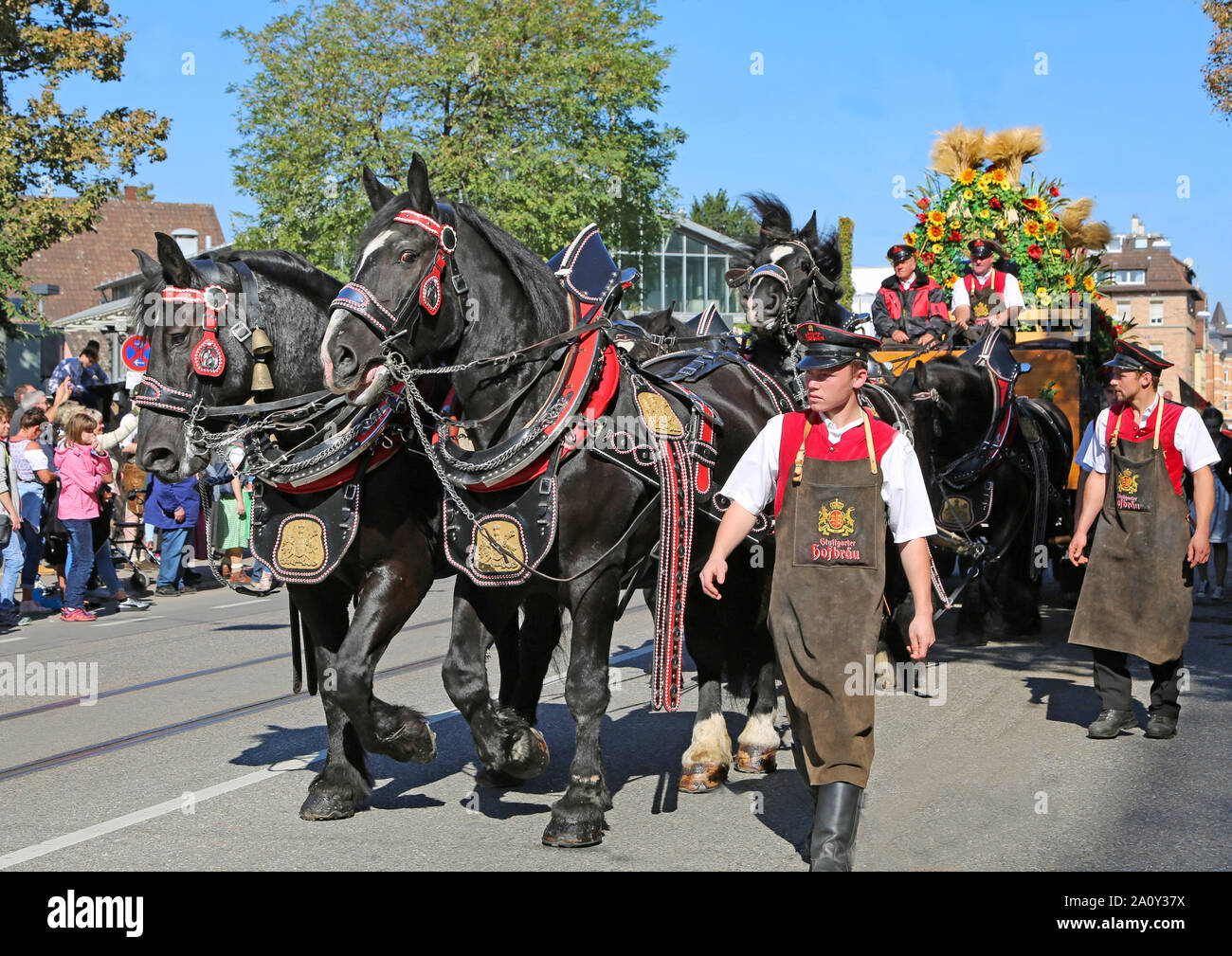 Stuttgart, Germany-September 30, 2018: Bierfest, Festzug mit Pferden Stockfoto