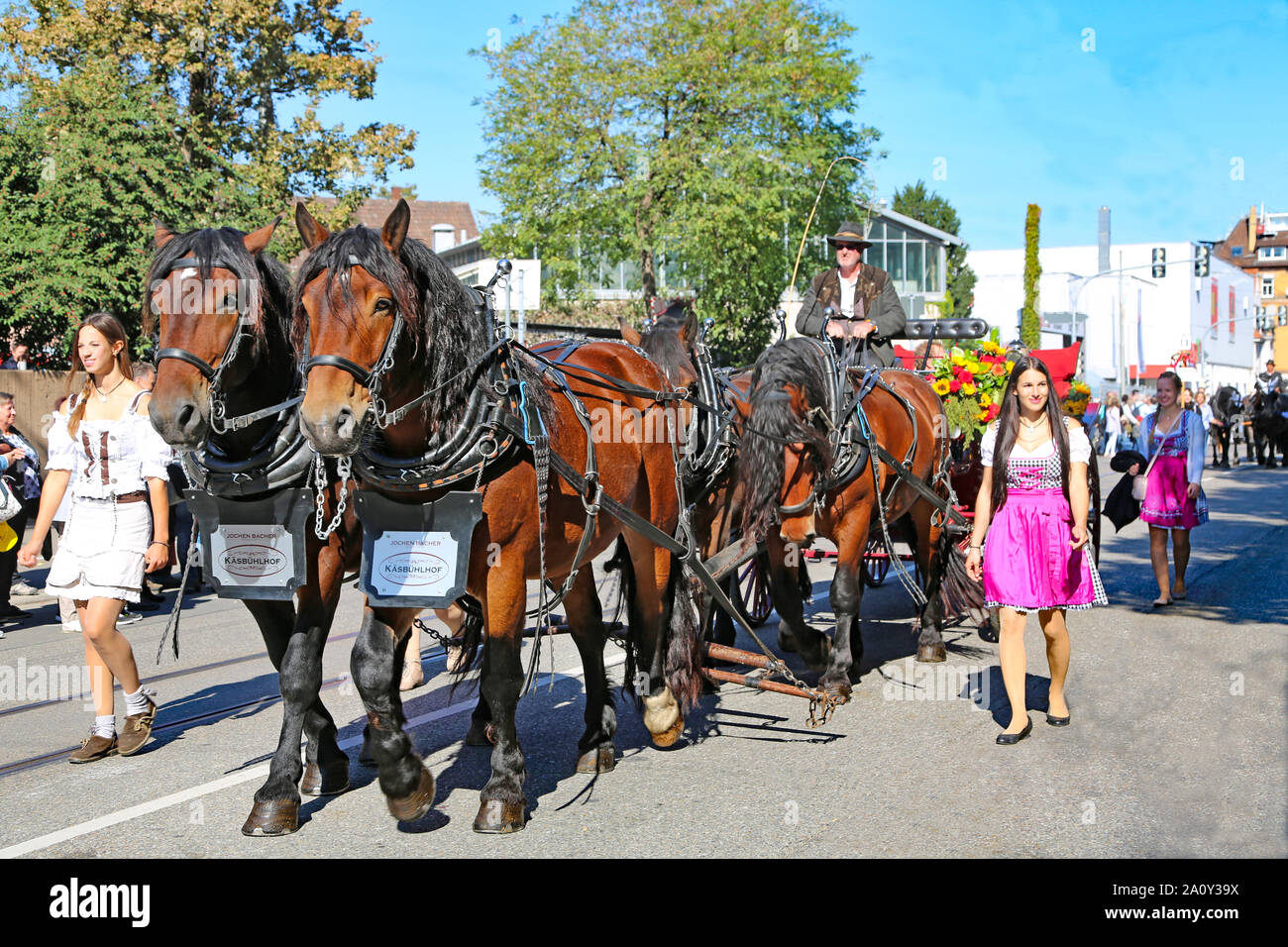 Stuttgart, Germany-September 30, 2018: Bierfest, Festzug mit Pferden Stockfoto