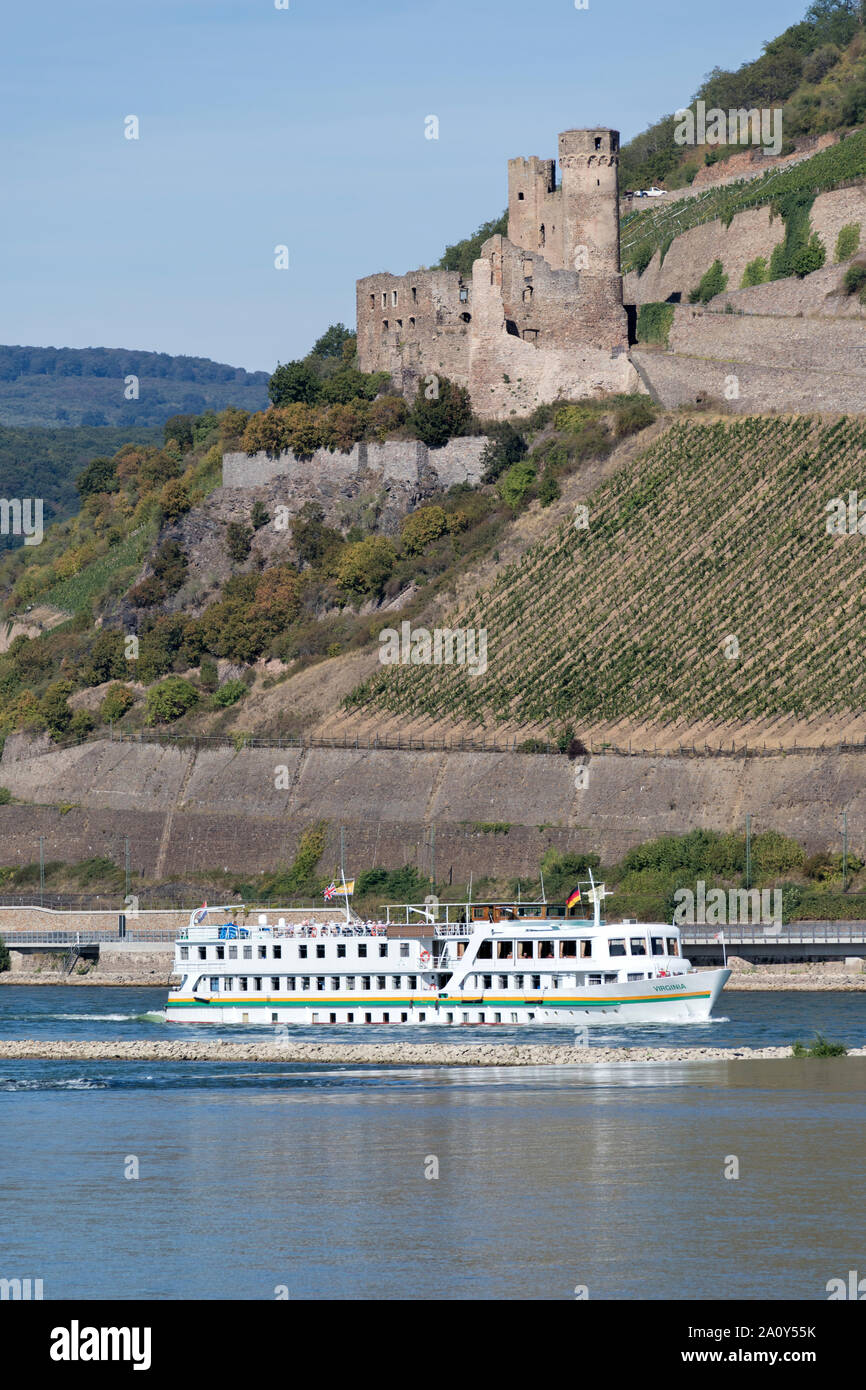 River Cruise Ship Virginia auf dem Rhein vorbei an Burg Ehrenfels. Stockfoto