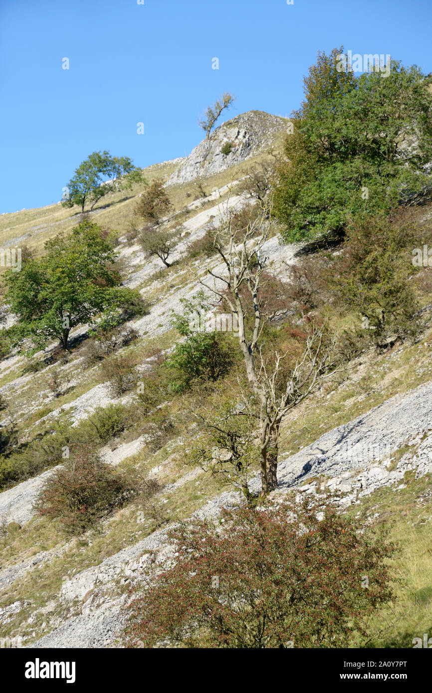 Felsvorsprung, in Wolfscote Dale, Derbyshire. Stockfoto