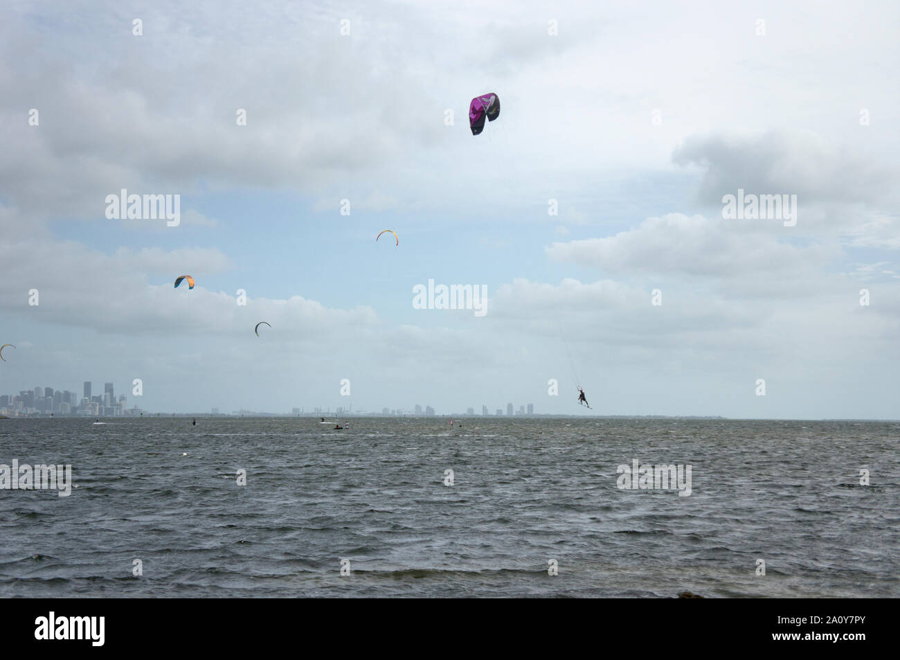 Die Biscayne Bay an einem windigen Morgen mit vielen Kitesurfer genießen das Wetter als von Matheson Hammock Park gesehen; Downtown Miami ist im Hintergrund Stockfoto