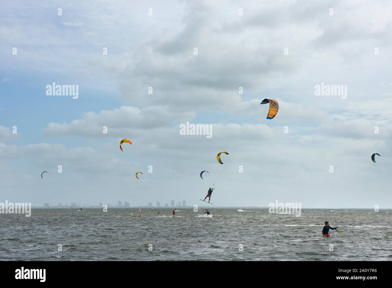 Die Biscayne Bay an einem windigen Sonntag Morgen mit vielen Kitesurfer genießen das Wetter als von Matheson Hammock Park gesehen; Key Biscayne ist im Hintergrund Stockfoto