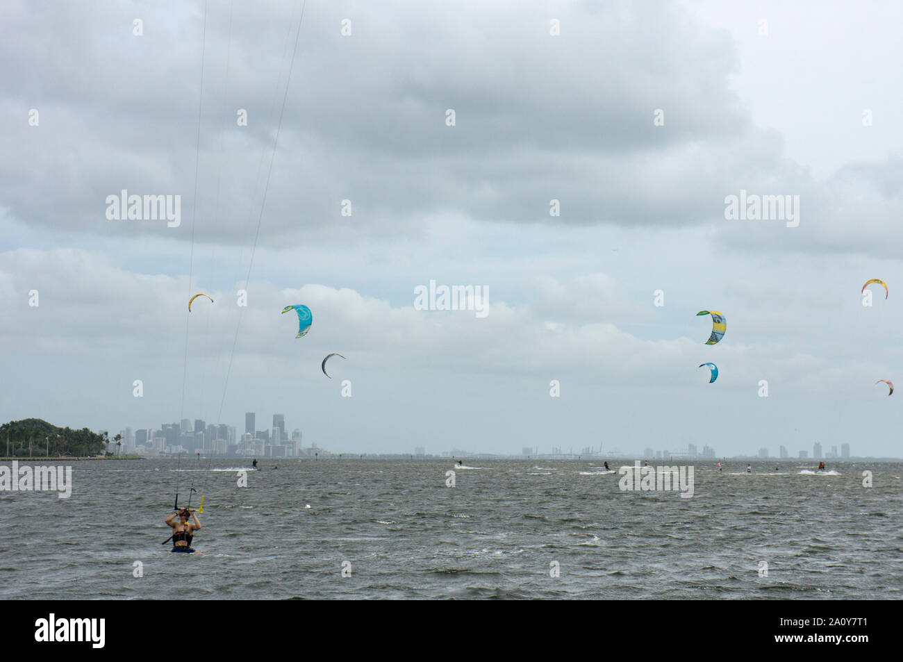 Die Biscayne Bay an einem windigen Sonntag Morgen mit vielen Kitesurfer genießen das Wetter als von Matheson Hammock Park gesehen Stockfoto