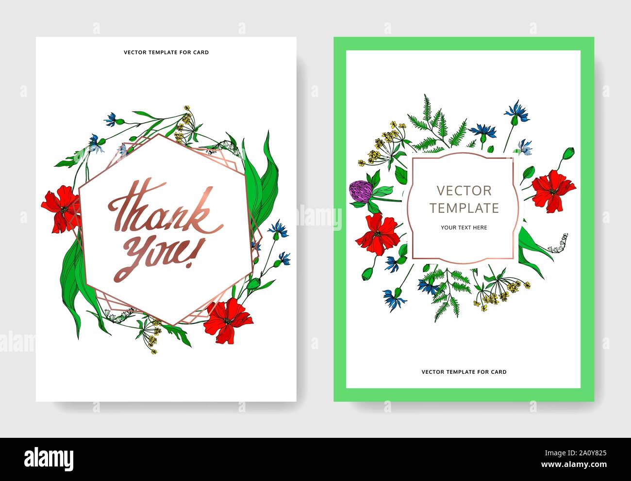 Vektor Wildblumen Blumen botanischen Blumen. Schwarz und weiß eingraviert Tinte Art Hochzeit hintergrund Karte dekorative Grenze. Danke, Rsvp, Einladung Stock Vektor