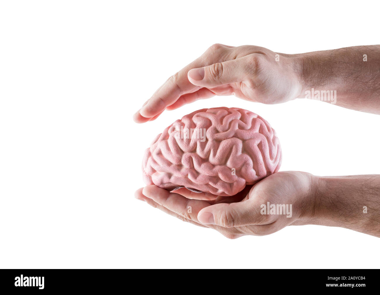 Menschliche Gehirn durch die Hände auf weißem Hintergrund abgedeckt Stockfoto