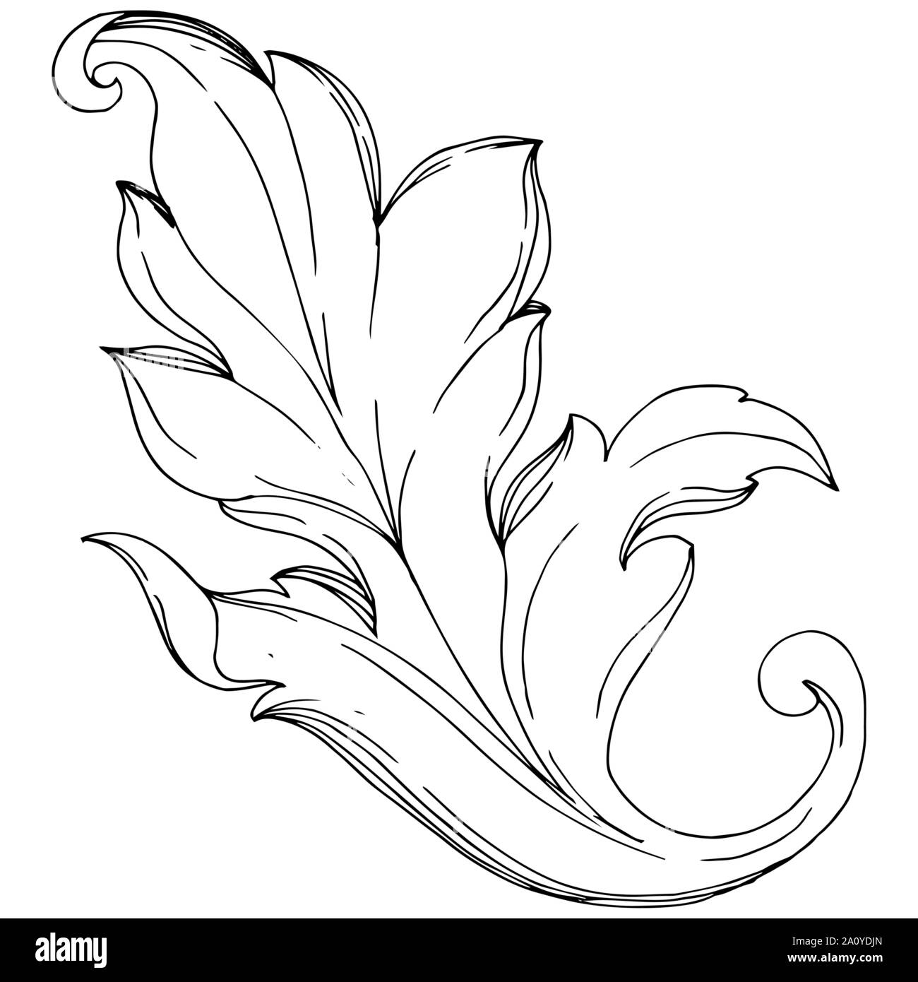 Vektor Barock Monogramm floralen Ornament. Barock design isolierte Elemente. Schwarz und weiß eingraviert Tinte Art isoliert Ornamente Abbildung o Stock Vektor