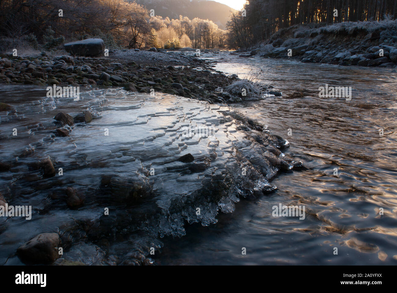 Stream eingefroren in einem Cascading Eis fallen, Fluss Feshie, Cairngorm National Park, Schottland, Großbritannien Stockfoto